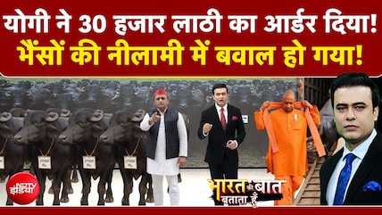 भैंसों की नीलामी में कैसे मच गया बवाल?