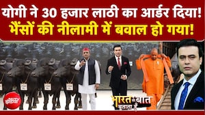 भैंसों की नीलामी में कैसे मच गया बवाल?