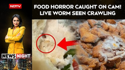 Gurugram Food Horror: Diner Finds Live Worm In Sandwich After Eating Half