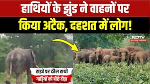 Elephant Attack Video: हाईवे पर गाड़ियों के पीछे दौड़ा हाथियों का झुंड, मची अफरा-तफरी! Breaking News