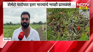 Dharashiv Farming | धाराशिवमध्ये शेतकऱ्याने उपटली ढोबळी मिरची, प्रतिक्रिया काय? | NDTV Marathi