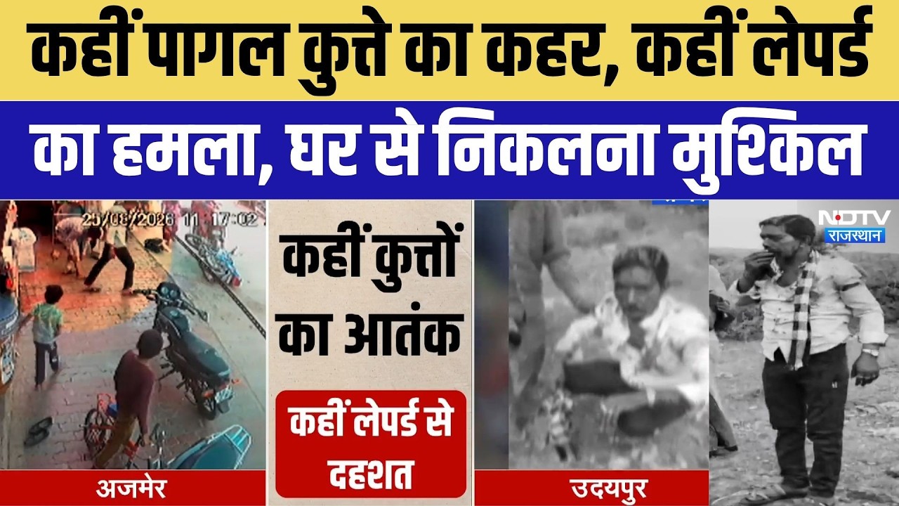 Animal Terror: Dog ने 11 को काटा, Leopard ने 3 को किया घायल | Dog Bite | Leopard Attack | Top News