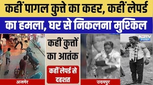 Animal Terror: Dog ने 11 को काटा, Leopard ने 3 को किया घायल | Dog Bite | Leopard Attack | Top News