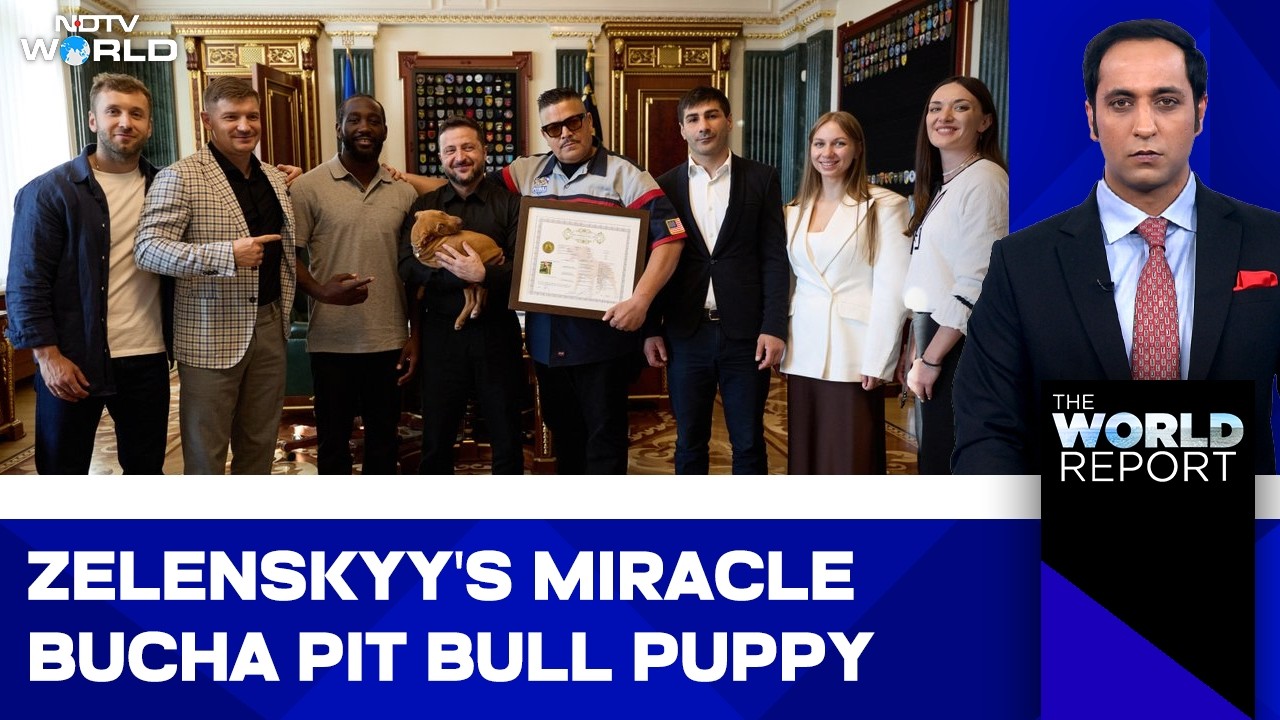 The Puppy That Survived Bucha: Boxer Terence Crawford’s Emotional Gift to Zelenskyy Live in Kyiv