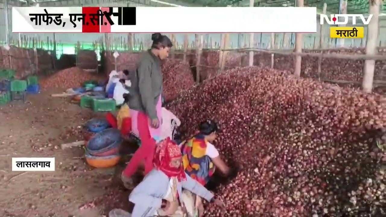 Nashik| मोठी बातमी| NAFED, NCCF ने खरेदी केलेला वखार महामंडळाच्या गोदामातील कांदा सडला