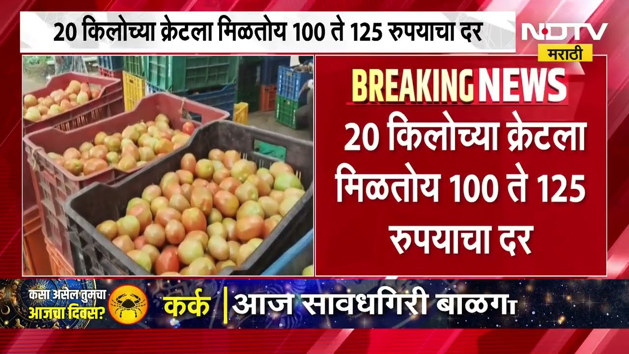 Tomato Rates Crashed टोमॅटोच्या दरांमध्ये घसरण, वीस किलोचा क्रेट, 100-125 रुपयांवर, उत्पादक अडचणीत