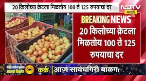 Tomato Rates Crashed टोमॅटोच्या दरांमध्ये घसरण, वीस किलोचा क्रेट, 100-125 रुपयांवर, उत्पादक अडचणीत