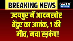 Udaipur Leopard Attack: हमले में घायल युवक की मौत, रेस्क्यू ऑपरेशन जारी | Breaking News | Viral