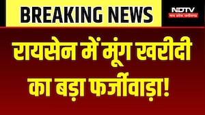 Raisen Moong Scam: सरकारी छुट्टी के दिन भी हो रही थी मूंग की खरीदी, बड़ा घोटाला! Breaking News