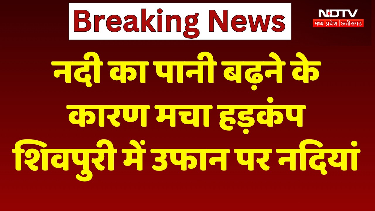 MP Rain Alert: नदी का पानी बढ़ने के कारण मचा हड़कंप, Shivpuri में उफान पर नदियां। Breaking News