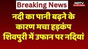 MP Rain Alert: नदी का पानी बढ़ने के कारण मचा हड़कंप, Shivpuri में उफान पर नदियां। Breaking News
