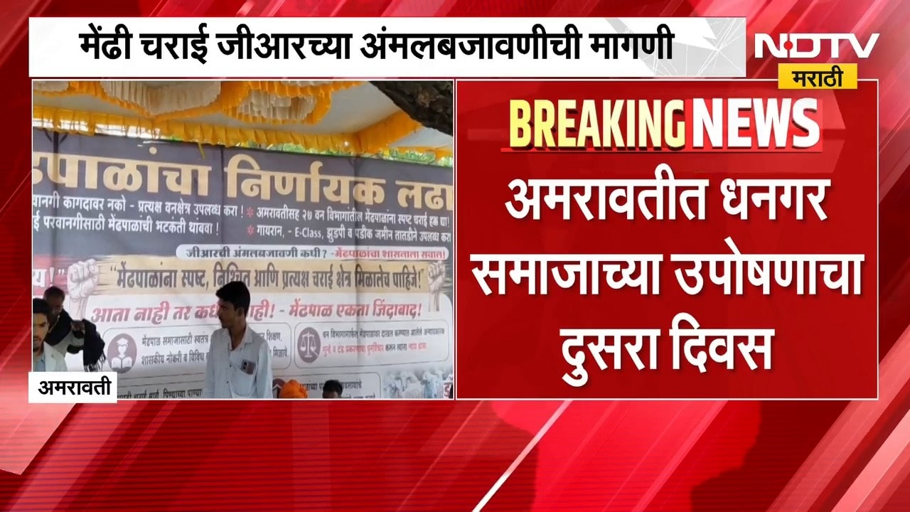 Amravati मध्ये धनगर समाजाचं उपोषण, मेंढी चराई जीआरच्या अंमलबजावणीची मागणी | NDTV मराठी