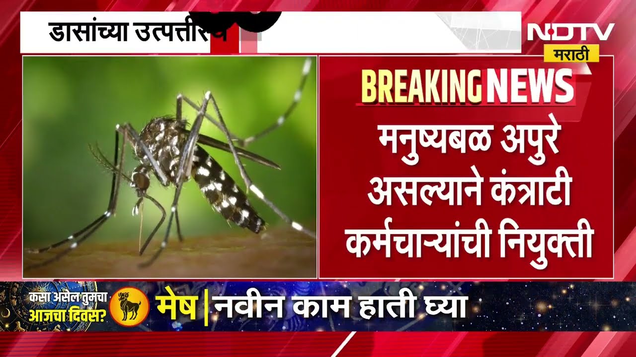 Pune News । पुण्यात डास नियंत्रणासाठी 265 कंत्राटी कर्मचाऱ्यांची भरती । NDTV मराठी