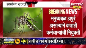 Pune News । पुण्यात डास नियंत्रणासाठी 265 कंत्राटी कर्मचाऱ्यांची भरती । NDTV मराठी