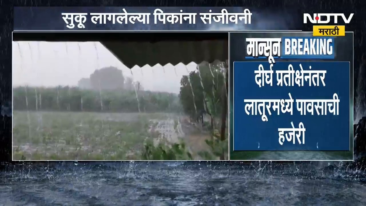 Buldhana Heavy Rain | 22 दिवसानंतर बुलढाण्यात पावसाची हजेरी, पावसामुळे बळीराजा सुखावला | NDTV मराठी
