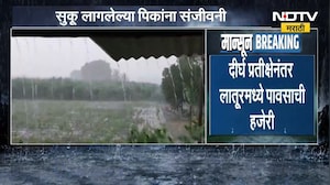 Buldhana Heavy Rain | 22 दिवसानंतर बुलढाण्यात पावसाची हजेरी, पावसामुळे बळीराजा सुखावला | NDTV मराठी