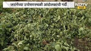 Manoj Jarange यांच्या उपोषणस्थळी आंदोलकांची गर्दी, जागा अपुरी पडत असल्याने शेतकऱ्याने पीक काढलं