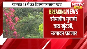 Maharashtra Rain | पावसाने दडी मारली, पिकं खुंटली; राज्यातील 117 तालुक्यात परिस्थिती बिकट | NDTV