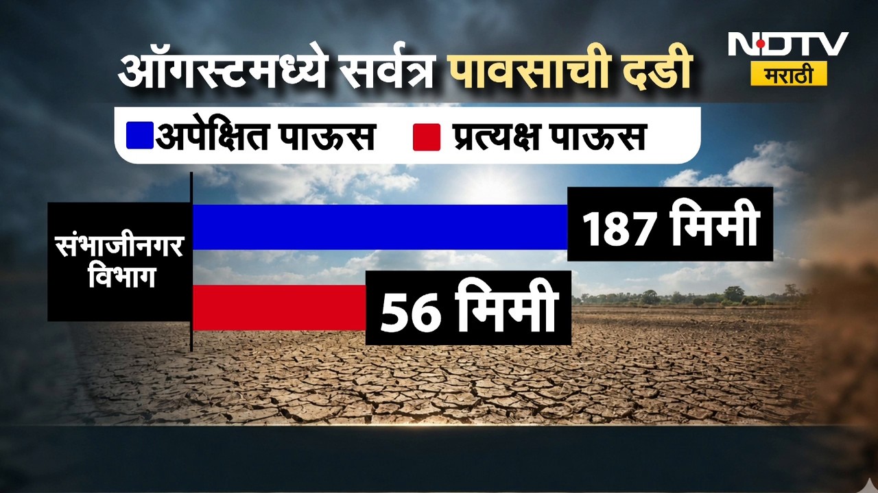 शेतकऱ्यांसाठी चिंताजनक बातमी,ऑगस्टमध्ये सर्वत्र पावसाची दडी; पिकं धोक्यात | Maharashtra Rain Update