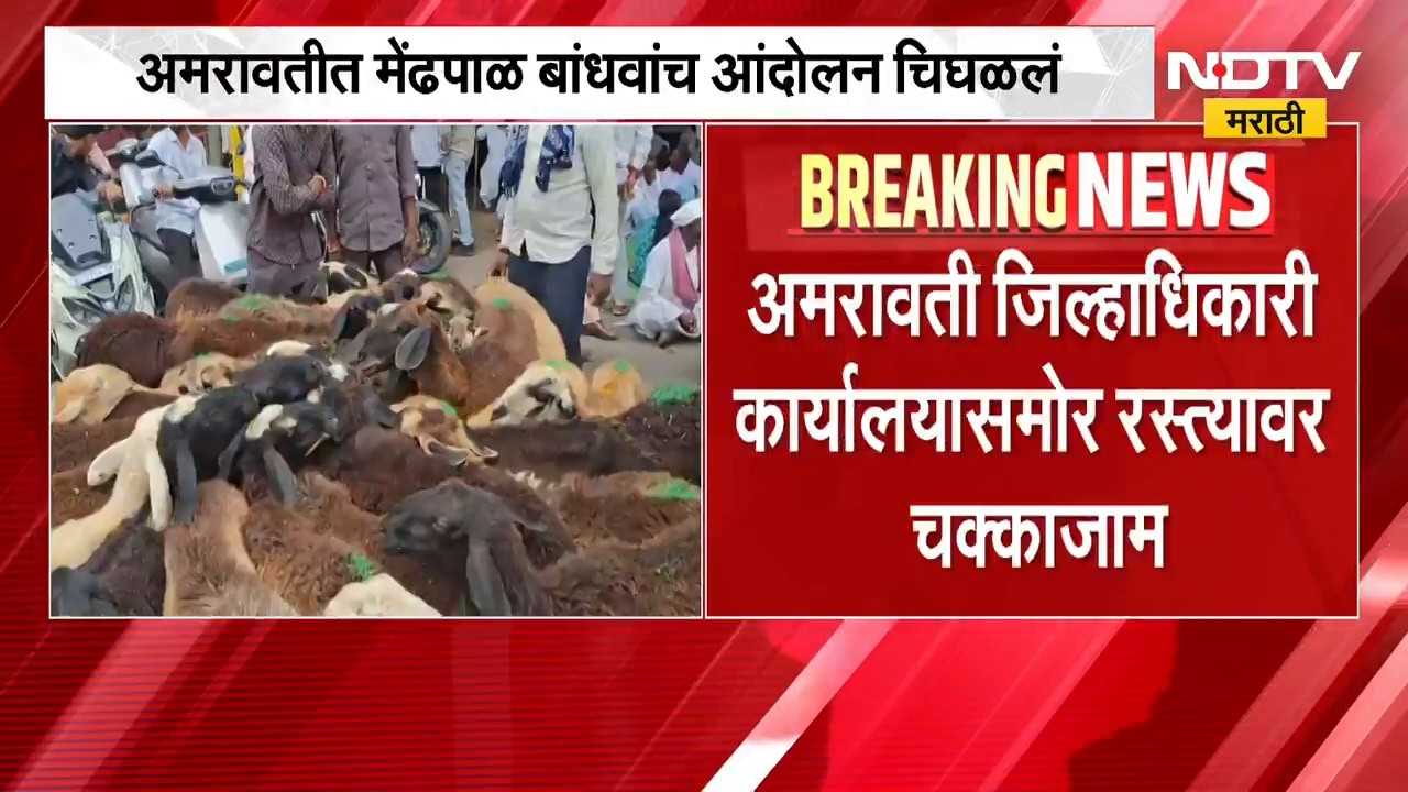 Amravati Protest | अमरावतीत मेंढपाळ बांधवांचं आंदोलन चिघळलं | NDTV Marathi
