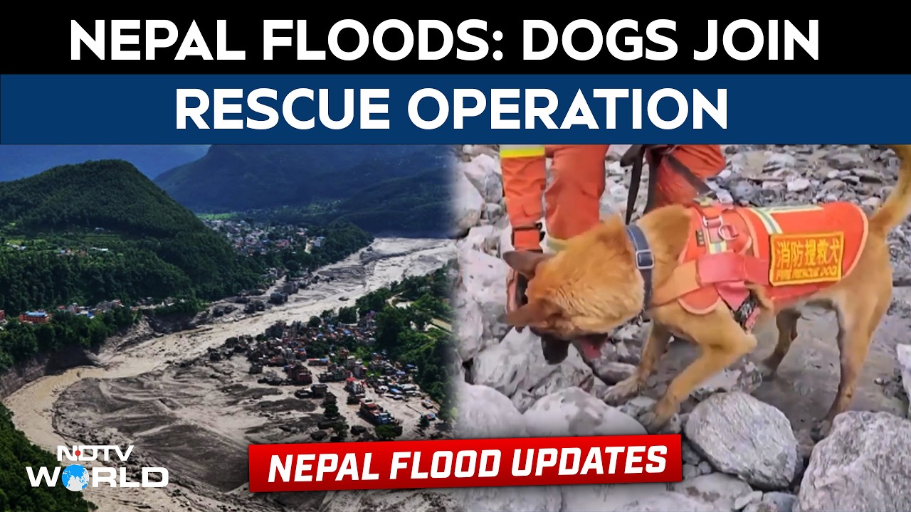 Dogs And Rescue Teams Hunt For Hundreds Still Missing Near China-Nepal Border