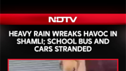 Shamli Flood Chaos: School Bus Stuck, Cars Trapped As Rain Brings City To Standstill