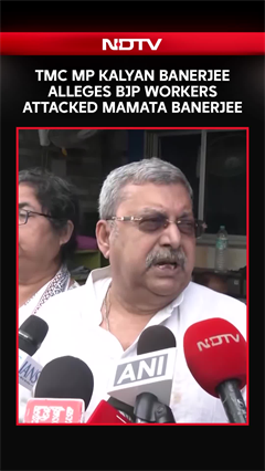 TMC MP Kalyan Banerjee Alleges BJP Workers Attacked Mamata Banerjee