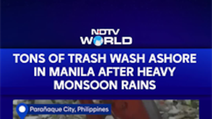 Philippine Rain News: Tons Of Trash Wash Ashore In Manila, 100+ Truckloads Cleared