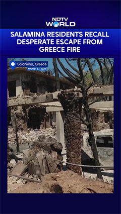 Greece Wildfires News: 2 Dead, 9 Injured As Blazes Ravage Salamina Island