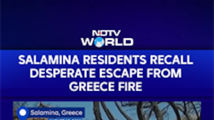 Greece Wildfires News: 2 Dead, 9 Injured As Blazes Ravage Salamina Island
