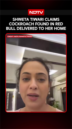 Shweta Tiwari Claims Cockroach Found In Red Bull Delivered To Her Home
