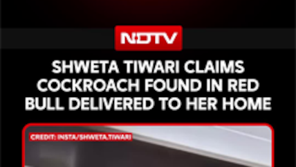 Shweta Tiwari Claims Cockroach Found In Red Bull Delivered To Her Home