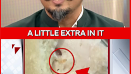 Cockroaches, Rotten Meat, Dirty Kitchens: What Are We Really Eating?