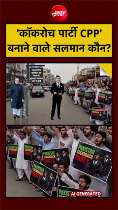 पाकिस्तान की सियासत में &lsquo;कॉकरोच पार्टी&rsquo; की एंट्री, &lsquo;कॉकरोच पार्टी CPP&rsquo; बनाने वाले सलमान कौन?