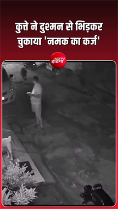 कुत्&zwj;ते ने दिखाई वफादारी की मिसाल, दुश्&zwj;मन पर हमला कर खाना खिलाने वाले को बचाया