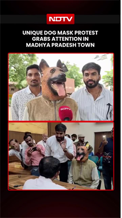 Unique Dog Mask Protest Grabs Attention In Madhya Pradesh Town