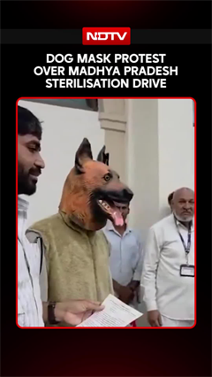 Madhya Pradesh News | Dog Mask On, Man Claims Madhya Pradesh Sterilisation Drive All Bark, No Bite