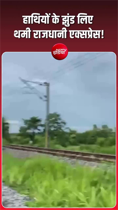राजधानी एक्सप्रेस के सामने आया हाथियों का झुंड, वनकर्मी ने दिखाई बहादुरी, टल गया बड़ा हादसा