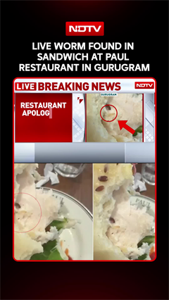Gurugram: Live Worm Found In Sandwich At Paul Restaurant