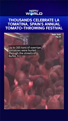 La Tomatina 2026: Thousands Turn Spain Town Red In Epic Tomato-Throwing Festival