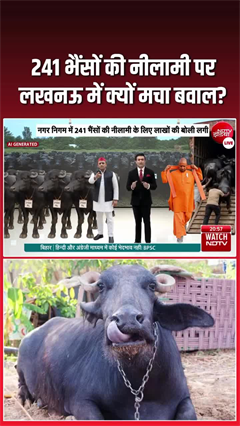लखनऊ में भैंसों की नीलामी पर बवाल, SP ने किया विरोध प्रदर्शन