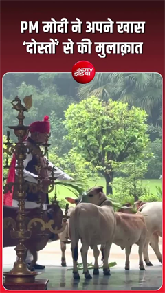 मोर-गायों को खाना खिलाते नजर आए PM मोदी