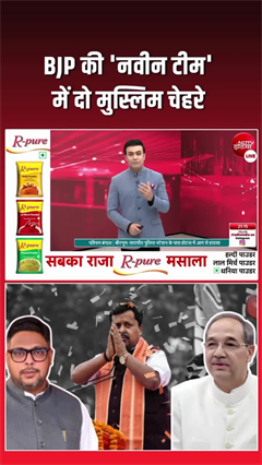 बीजेपी टीम में 2 मुस्लिम चेहरे, राजनीतिक मजबूरी या फिर!