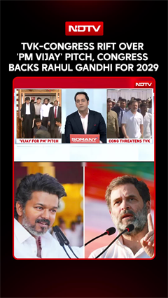 TVK-Congress Rift Over 'PM Vijay' Pitch, Congress Backs Rahul Gandhi For PM In 2029