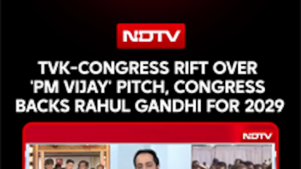 TVK-Congress Rift Over 'PM Vijay' Pitch, Congress Backs Rahul Gandhi For PM In 2029