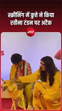 रवीना टंडन पर रेड कार्पेट पर झपटा कुत्ता, एक्ट्रेस ने कूल अंदाज में संभाली स्थिति