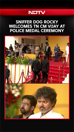 Viral Video | Sniffer Dog Rocky Welcomes TN CM Vijay At Police Medal Ceremony