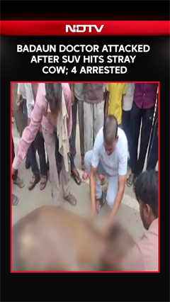 Uttar Pradesh News | Badaun Doctor Attacked After SUV Hits Stray Cow; 4 Arrested