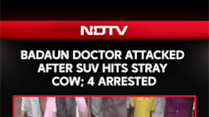 Uttar Pradesh News | Badaun Doctor Attacked After SUV Hits Stray Cow; 4 Arrested
