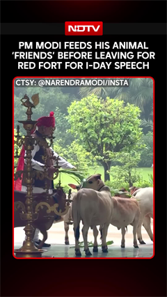 PM Modi Shares Video Of Feeding His Animal 'Friends' Before Leaving For Red Fort On Independence Day